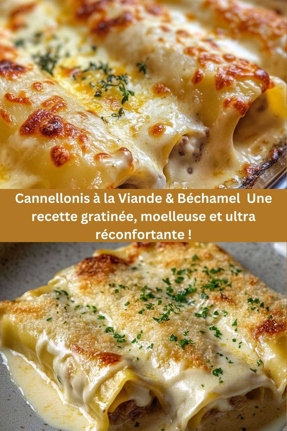 Cannellonis à la Viande & Béchamel Une recette gratinée, moelleuse et ultra réconfortante !