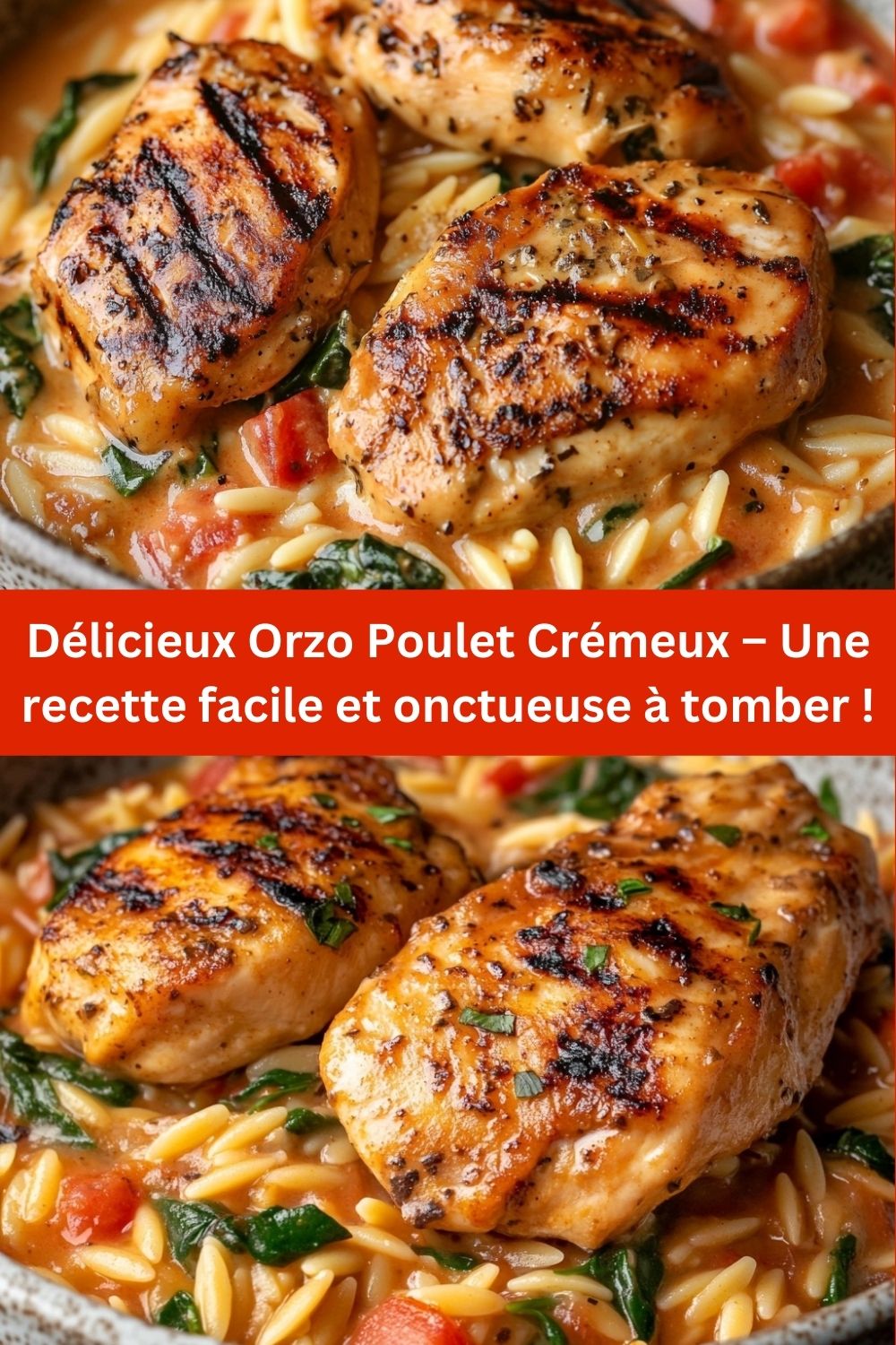Délicieux Orzo Poulet Crémeux – Une recette facile et onctueuse à tomber !