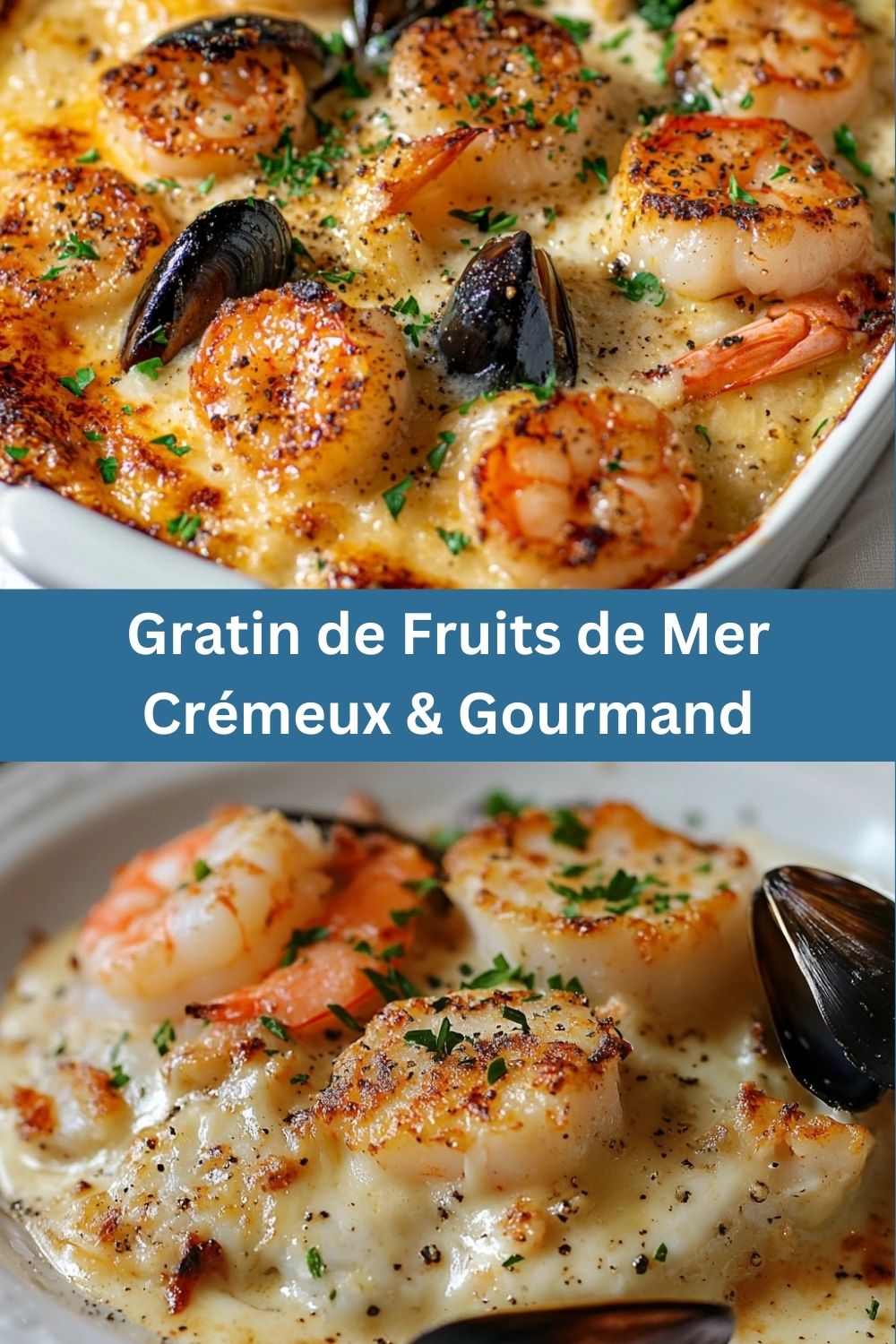 Gratin de Fruits de Mer Crémeux & Gourmand