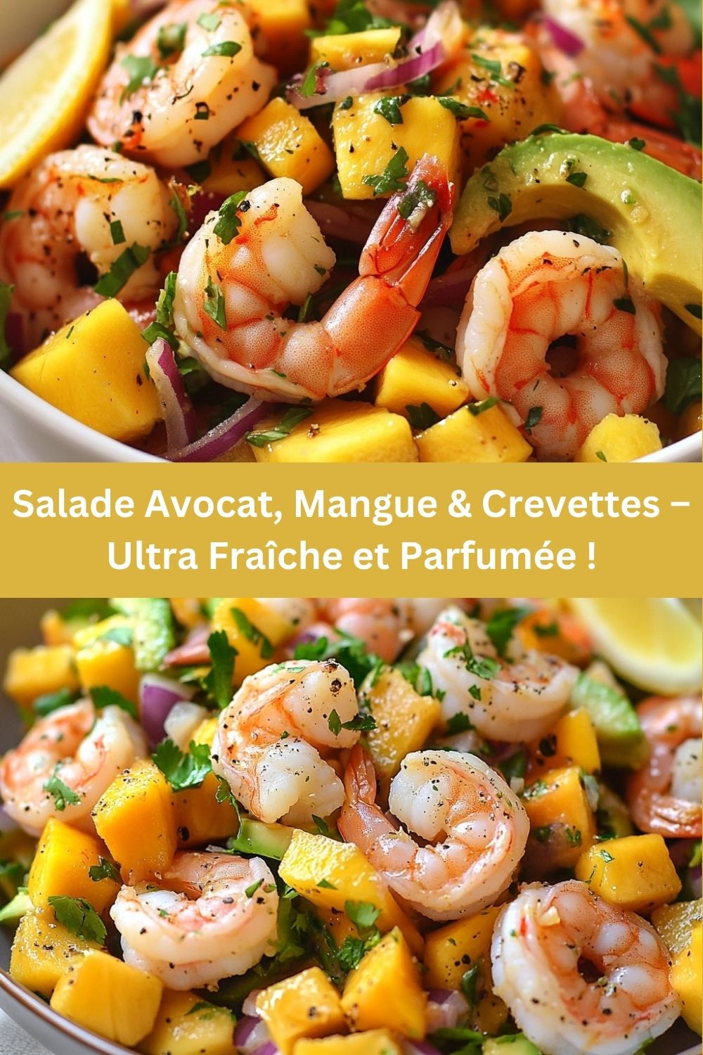 Salade Avocat, Mangue & Crevettes – Ultra Fraîche et Parfumée !