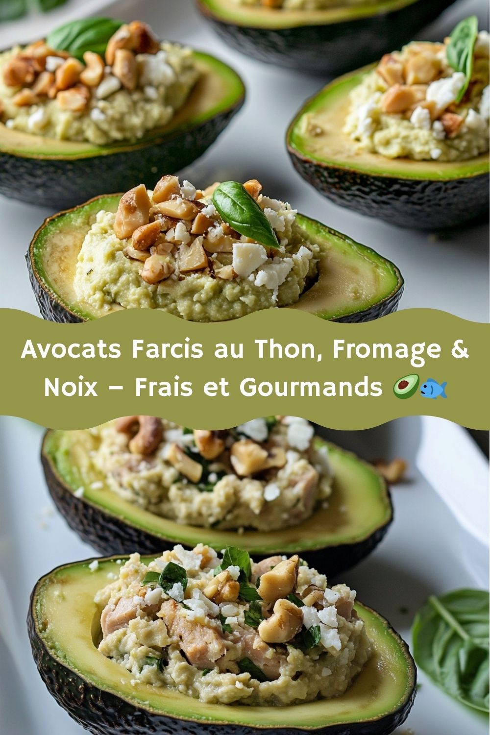 Avocats Farcis au Thon, Fromage & Noix – Frais et Gourmands 